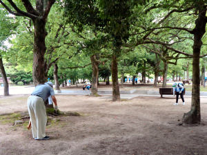 今年も広島平和記念公園一斉清掃を行いました